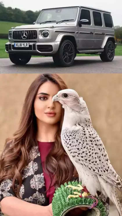 You Will Be Stunned To See The Luxury Car Collection Of Dubai Princess. 6 0392F9Ac19Ff87Bcf401Fc53D79C90Cd.webp You Will Be Stunned To See The Luxury Car Collection Of Dubai Princess.