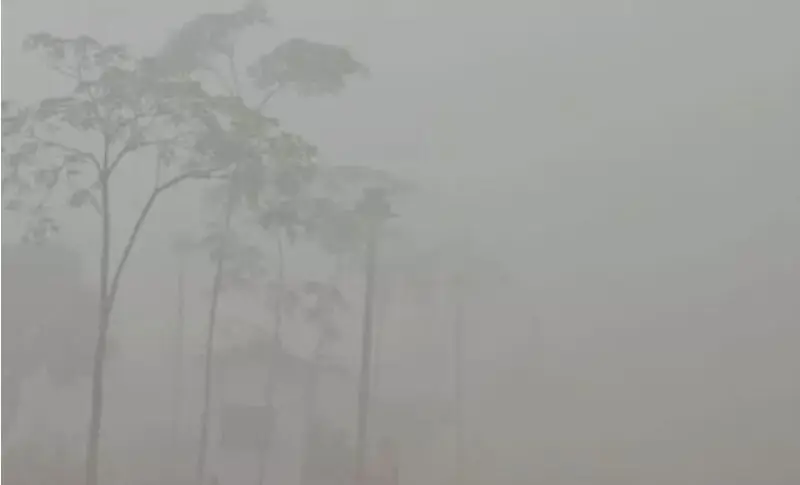 Delhi Ncr Experiences Hottest January In Six Years; Dense Fog Reduces Visibility To 50 Meters Amid Sudden Weather Shift.