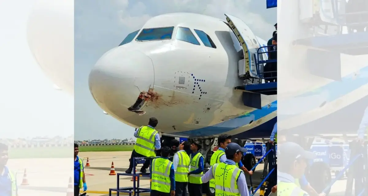 Indigo Landing Emergency Eagle Hits Indigo Flight At 4000 Ft In Air. Pilot Made 7 Rounds And Landed In Emergency With 166 Passengers.