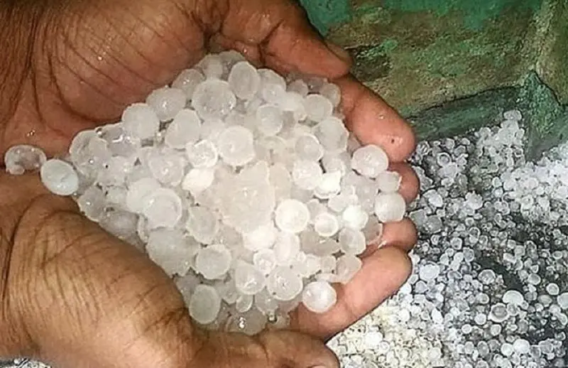 Heavy Rain And Hail Expected In Delhi And Surrounding States From October 5 To 7, Imd Warns Amid Festive Season.