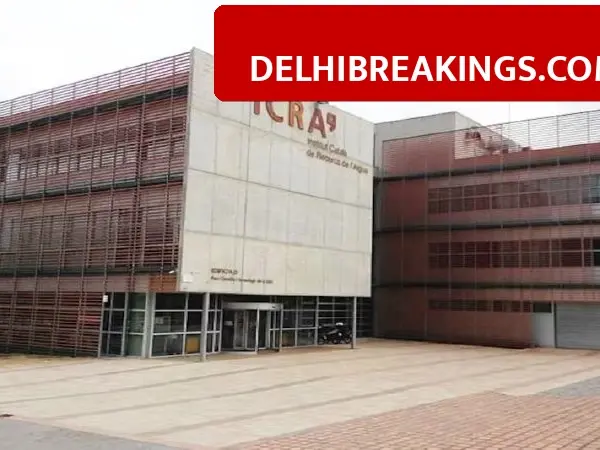 ICRA Revenue Jumps 35% in Q3 Results, New CEO Takes Charge at Analytics Arm