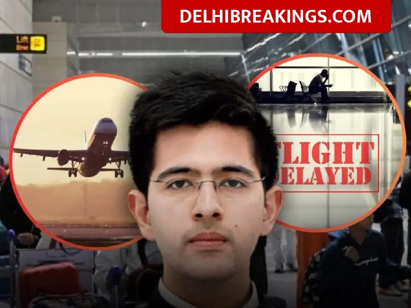 Raghav Chadha Demands ‘Hourly Payout’ For Flight Delays, Questions Airline Charges In Parliament