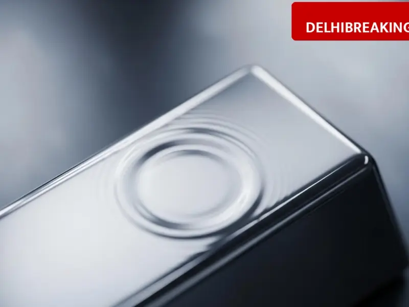 Silver Price Alert: Experts Warn of 80% Crash, MCX Rate Drops to 2.85 Lakh